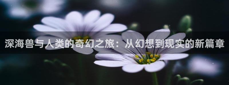 日本漫画之家：深海兽与人类的奇幻之旅：从幻想到现实的新篇章